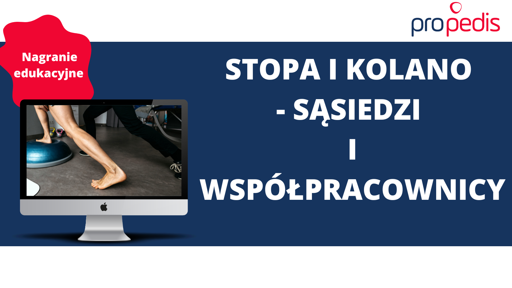 Stopa i kolano – sąsiedzi i współpracownicy