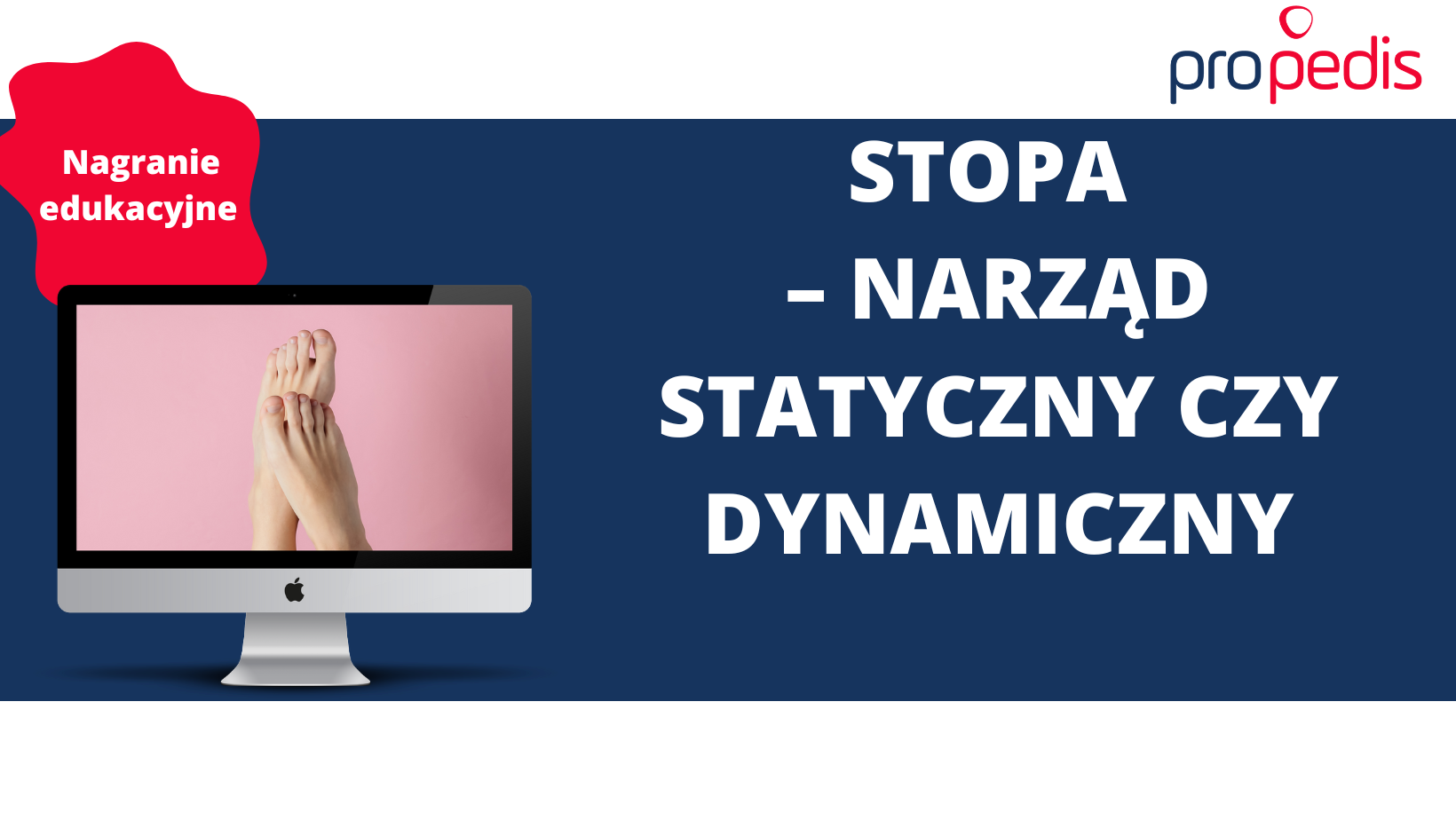 Stopa – narząd statyczny czy dynamiczny