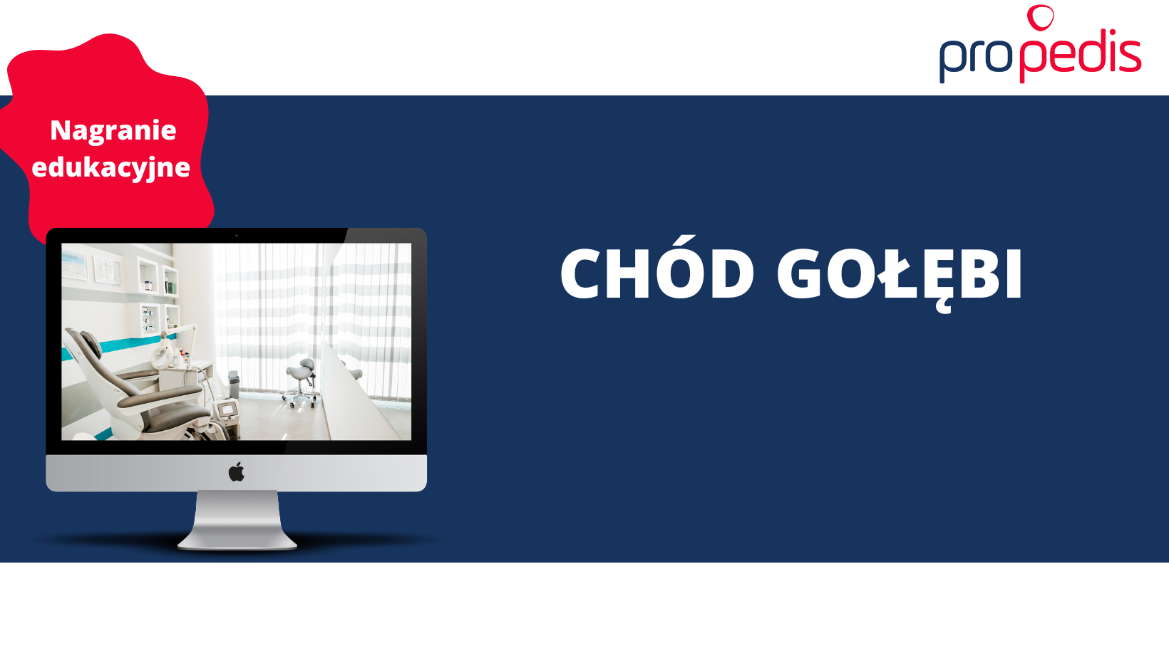 Chód gołębi